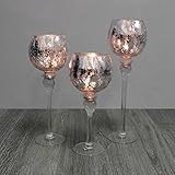 glaskelche Größe (ØxH): ca. 13x30/35/40cm