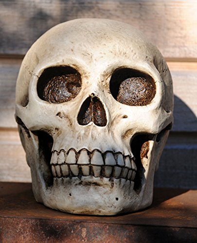 eindrucksvolle XXL Spardose Schädel Skull Totenkopf - 5