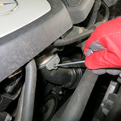 S&R Winkelschlüsselsatz für Torx-Schrauben 8-tlg. gebohrt TX10-TX50, in Zylinder-Kunststoffclip - 5