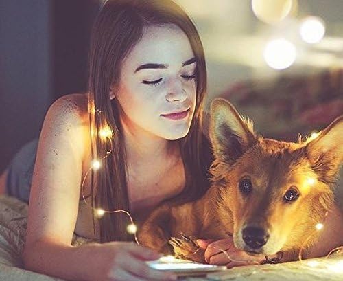 Oledank Solar Powered String Lights, 100 LED Starry Fairy Lights, 10 Meters, Waterproof 1.2 V Portable with Light Sensor for Easter, for Garden, Home, Wedding, Party, Christmas, Halloween (Warm White)