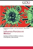Image de Influenza Porcina en México