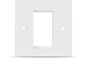 TNP PRODUCTS TNP Plaque de prise murale vierge – 1 port Keystone insert jack prise de câblage simple prise décorative avec vis pour réseau LAN RJ45 – Blanc