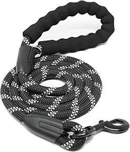 DIMAZO Strong Dog Training Leash with Comfortable Padded Handle and Highly Reflective Threads for Small, Medium & Large Dogs - Black