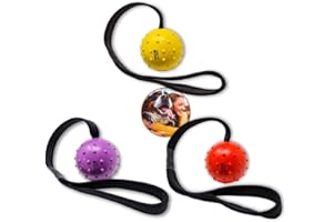 WEPO Juego de 3 Pelotas de Lanzamiento para Perros en la Cuerda - Juguetes para Perros Pequeños