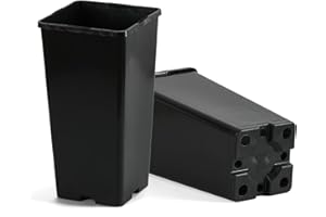 Pullmer Anzuchttöpfe extra hoch 11x11x21 cm, 10 Stück, Tiefwurzlern viereckiger Pflanzentöpf für Aussaat, für Sämlinge oder Stecklinge, Pikiertöpfe Kunststoff (10,11x11x21cm)