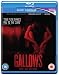 The Gallows [Blu-ray] [2015] [Region Free]