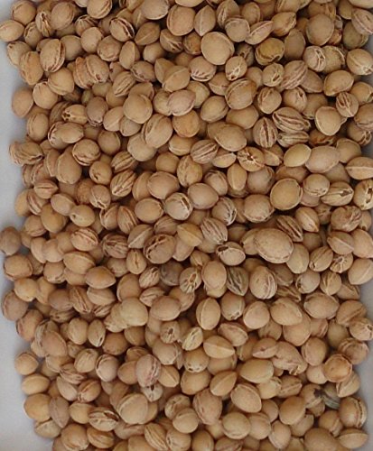 10 kg cereza (cerezo piedras gustará entrega en Alemania