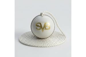 SVB Hanging Cricket Ball for Practice Leather Cricket Ball (156g) with Rope Batting Reflex Training White Durable Seam Ideal for Kids & Professionals