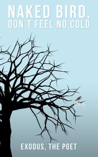 naked bird, don't feel no cold: Volume 1 (In Between God and Me)