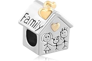 KOJOON Perles Pour Charm Bracelet Diy Charms