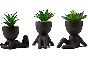 LUNIER Seated Succulent Set (Set of 3) | Porcelain Pots with Small Artificial Plants (Indoor) | Faux Plant for Indoors | Bedroom, Office Desk, Bathroom Plant-Set | Small Fake Plants, Shelf Decorations