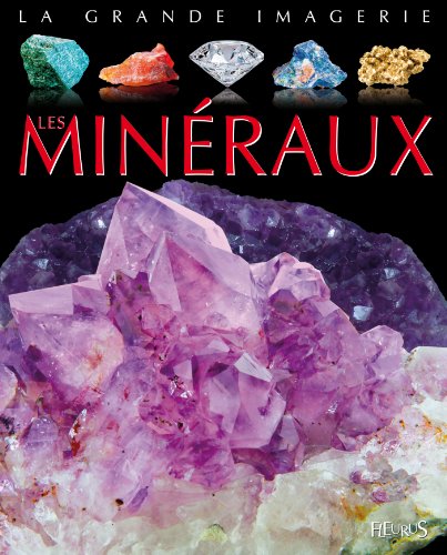 <a href="/node/50136">Les minéraux</a>