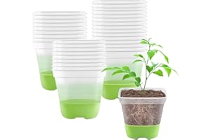 Rppiup 30 Stück Anzuchttöpfe Transparente, 8CM Pflanztöpfe Transparent mit Silikonsockel für einfache Beobachtung und Transplantation, Wiederverwendbar Blumentöpfe Plastik für Pflanzen,Samen,Setzlinge
