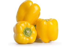 AMOREBIO Obst & Gemüse Bio Paprika gelb (1 x 1000 gr)