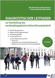 Diagnostischer Leitfaden zur Feststellung des sonderpädagogischen ...