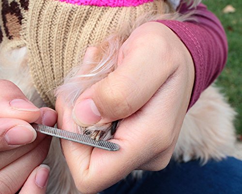 Animal Professionelle Krallenschere für Haustiere Schutzvorrichtungfür und Nagelknipser für mittelgroße & große Hunde und Katzen - 7