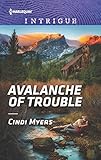 Cover zum Buch Avalanche of Trouble
