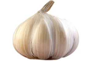 AMOREBIO Obst & Gemüse Bio Knoblauch (1 x 1 Stk)