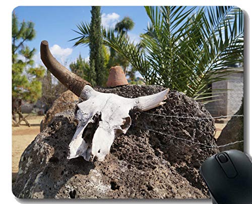 Preisvergleich Produktbild Yanteng-Mausunterlage-kundenspezifisch anfertigen, Schädelwüste alter Westkuhschädel inspirierend Zitat-Mausunterlage