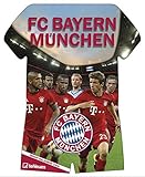 FC Bayern München 2016 by