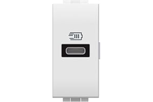 Bticino N4192C Caricatore USB con un ingresso tipo C, da installare nella placca Livinglight, per la ricarica rapida di dispositivi elettronici fino a 20W, 1 modulo, bianco