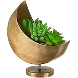 Sass & Belle Mini Celestial Moon Planter