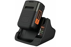 BLACK+DECKER BDC2A36 Pack Batería de Litio 36V 2.0Ah y Cargador