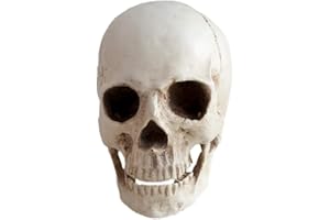 KABAKE Medizinische Replik aus Kunstharz, lebensgroß, realistischer menschlicher Schädel, Knochenmodell, Anatomie, weißer Kunstharz, hohe Präzision, Lehrwerkzeug, Halloween-Dekoration