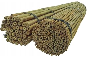 DIXIE STORE Bambusstäbe - Bambusstangen Set Blumenstützen - Robuste Pflanzenstäben aus Bambus 120 cm x 14-16 mm 25 Stück Holzstäbchen Rund - Bambus Pflanze Bambus Stöcke Pflanzen Stütze