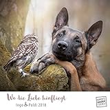 Wo die Liebe hinfliegt 2018 - Ingo & Poldi - Freundschaft von Schäferhund und Steinkauz - Wandkalender mit Spiralbindung - DuMont Quadratformat 24 x 24 cm by 