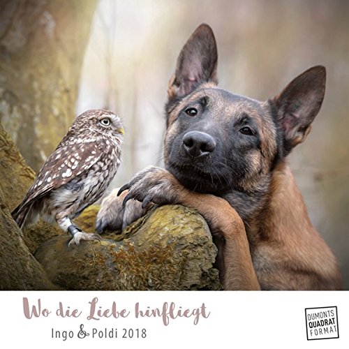 Wo die Liebe hinfliegt 2018 - Ingo & Poldi - Freundschaft von Schäferhund und Steinkauz - Wandkalender mit Spiralbindung - DuMont Quadratformat 24 x 24 cm