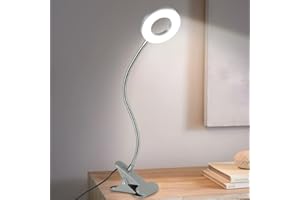 Depuley 6W Lampe de Bureau USB Clipsable à Pince de Lecture au Lit, Lumière Blanche Chaude et Froide, Col de Cygne Flexible en Métal Argent (Adapteur Non-Incluse)[Classe énergétique A++]