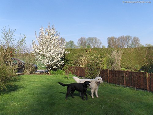 Beeteinfassung BAUERNGARTEN 120×60 aus Weide - 3