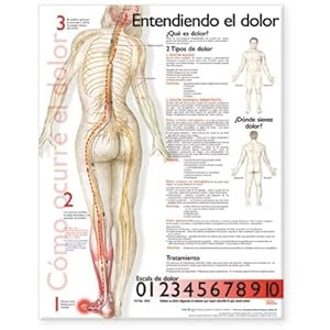 Understanding Pain Anatomical Chart in Spanish
