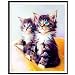 Produktbild Malloom-Bekleidung 5d 3D 6d 4d d5 voll Diamant Painting zubehör Full groß Weihnachten Bilder DIY setkinder Katze Tiger Pferd Strass Einhorn