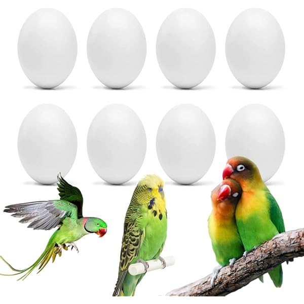 thumbnail interactive-video image 1 of DummyEggs Fake Finch Eggs - 7 Plastic Eggs To Stop Brooding & Egg Laying, 5/8" X 1/2" 1 of 11