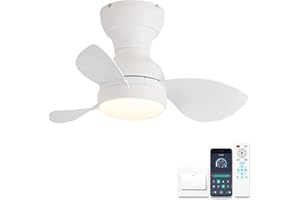 ycwdcz 22inch Mini Ceiling Fan with Lights and Remote, Small Ceiling Fans with Lamps, Reversible Summer Winter Mode 6 Speed Silent DC Motor, for Bedroom Kids Room, White