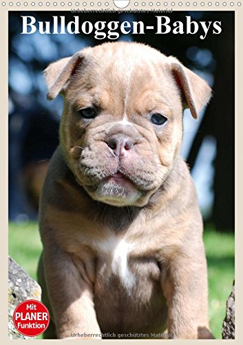 Bulldoggen-Babys (Wandkalender 2017 DIN A3 hoch): Zauberhafte Bulldoggen Baby Gesichter! (Planer, 14 Seiten ) (CALVENDO Tiere)