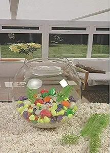 Lovely Pets Kingdom-Round Transparent Crystal Glass Zig Zag Neck Bowl Clear Sphere Vase Fish Tank Water Jar (10 inch)