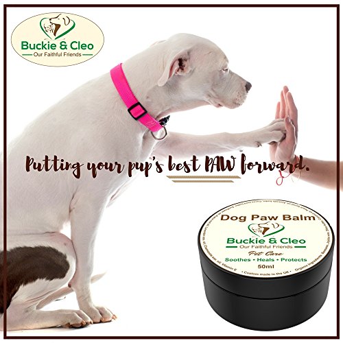 Patte-de-chien-Baume--apaisant-hydratant-et-Gurison-Beurre-Baume-pour-fissur-Sec-ou-Rugueuses-Paw-Coussinets-Naturel-de-protection-et-de-traitement-pour-les-chiens-sensibles-avec-les-douleurs-ou-Infla