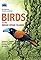 Birds of the Indian Ocea...