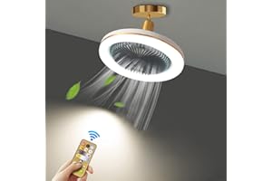 WRMING Pequeño Ventilador de Techo con Luz y Mando a Distancia, E27 Lampara Ventilador Techo Silencioso, 30W 3000 lm, Regulable 3000/4000/6000K, 3 Velocidades, Ángulo Ajustable, Timer, Ø26cm