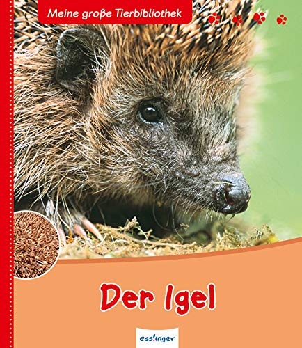 Der Igel (Meine große Tierbibliothek)