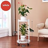 Elegantes Design: mit Blumenmustern verziert, perfekte Dekoration für jeden Ort, Balkon, Wohnzimmer, Schlafzimmer, Badezimmer, Arbeitszimmer.