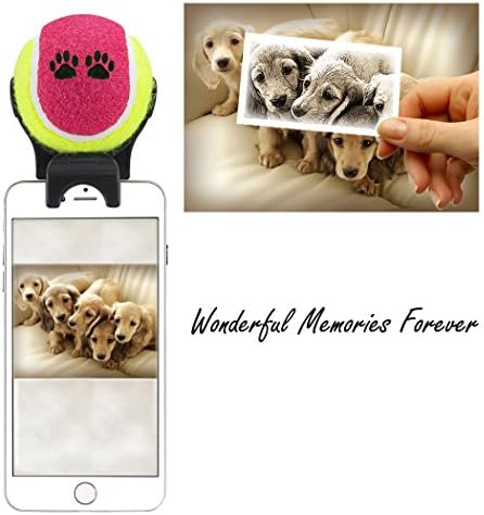 Smartphone Attachment Selfie Stick for Pet - Pet Selfie Stick - Pet agility training - pet toy (purple yellow)