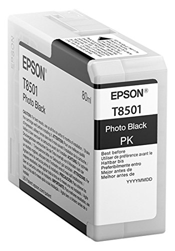Epson C13T850100 Tintenpatronen Singlepack Photo, schwarz