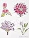 Crabtree & Evelyn Blossoming Hand Therapy Collection 25 g Set of 6