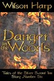 Image de Danger in the Woods (Tales of the Silver Sword Inn, Story #6) (English Edition)