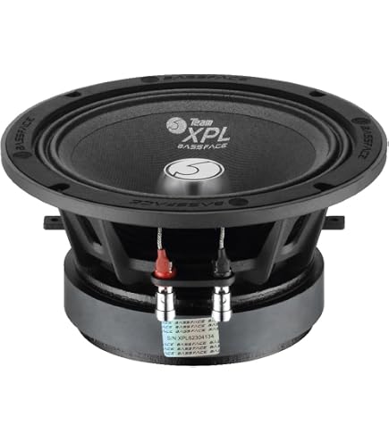 IndyM8/4 - Midrange 20 Cm 8" 200 W Rms 4 OHM Wide Range - 1Pz - 6