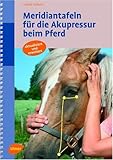 Image de Meridiantafeln für die Akupressur beim Pferd